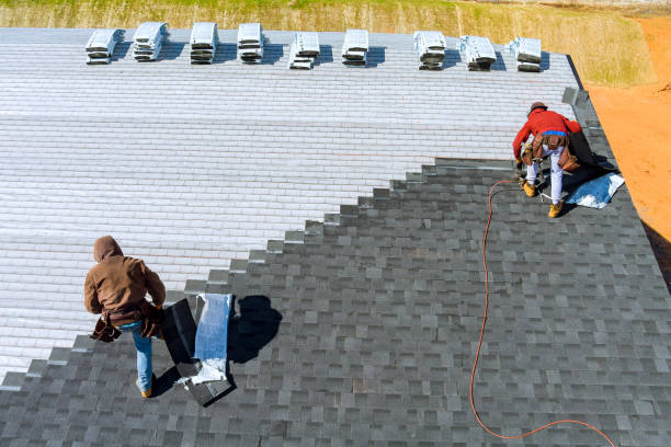 Best Roof Gutter Cleaning  in Vcennes, IN