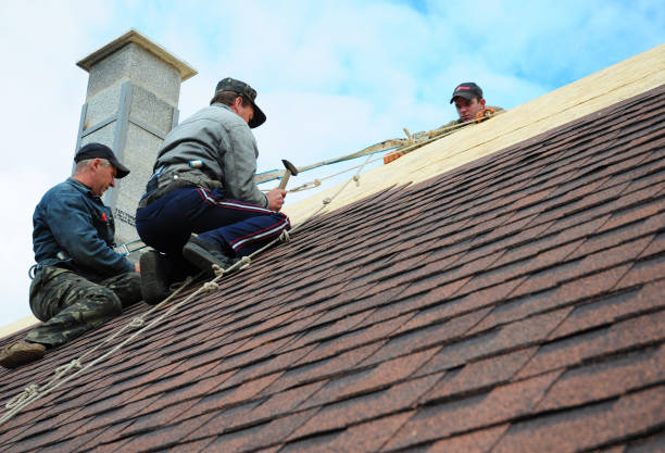 Best Storm Damage Roof Repair  in Vcennes, IN